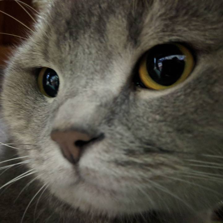 Bb5ff371 254a 45da bb10 7e8a33668c8a 1542443942853