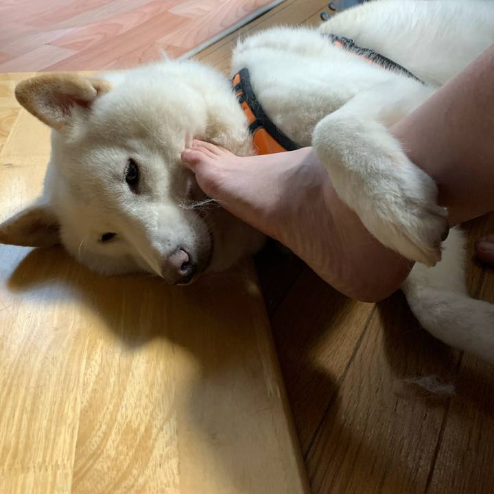 Bb6023cb 9dfb 4fa1 89fe 86917efe1514 1669418357622