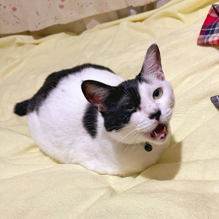 Bb6041bc 9e38 40bc 9e41 d3ecae08efb3 1756939512307