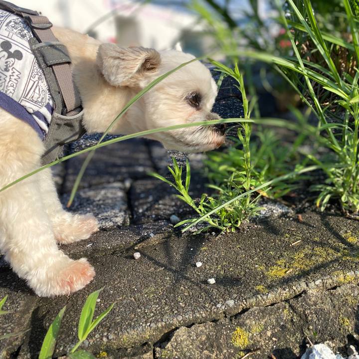 Bb608b5c 2fa3 4c0a bb33 65458d584dbd 1593643050143