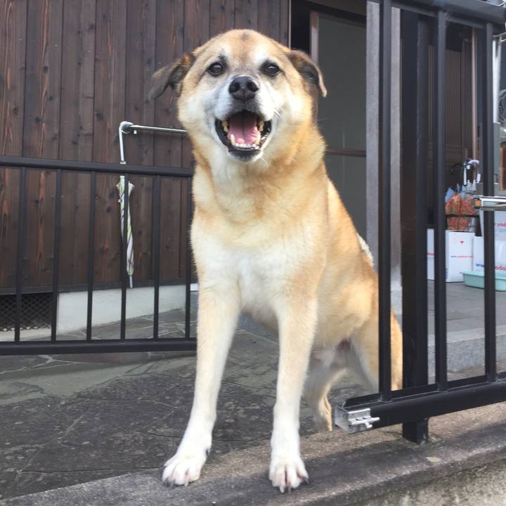 Bb6099f9 4881 473e 9ced 2158cf0869cc 1597314326544