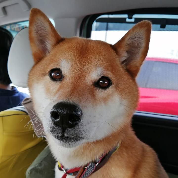 Bb60a002 be2b 4576 beac 9550d7810003 1622709502163