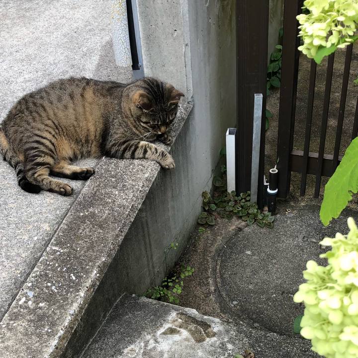 Bb60b0e0 e960 4cd1 8d3f a7d4e4a376e5 1531215188227