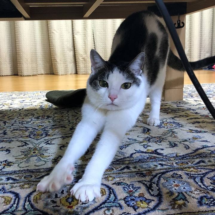 Bb60fad7 69b4 448c 8edf 5e1472e91961 1639220352645