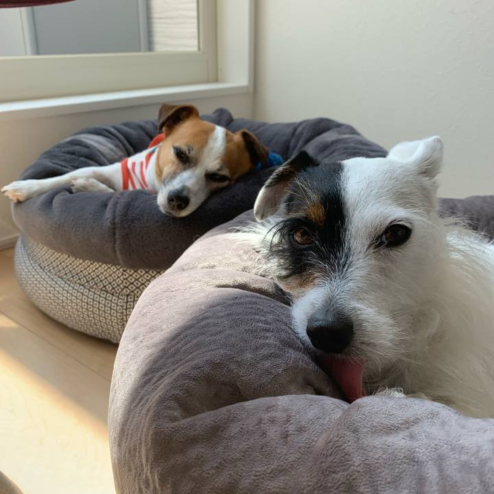 Bb6106a7 df10 4ef9 8c9e da25af1d6a9e 1588220194969