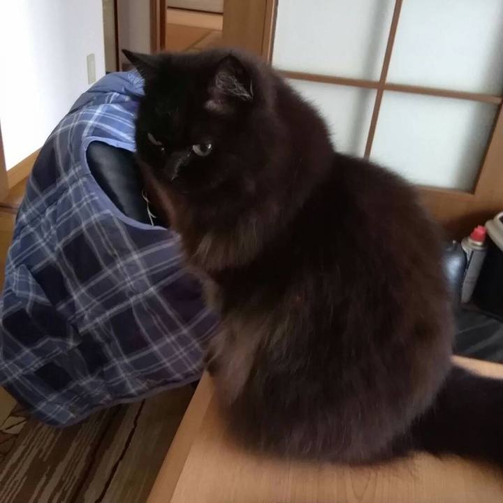 Bb611cc1 8539 411c a262 bfb146f058e5 1528801715717