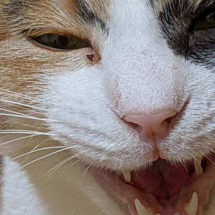 Bb613f00 3558 4be6 820a c1ce67858444 1762514498688