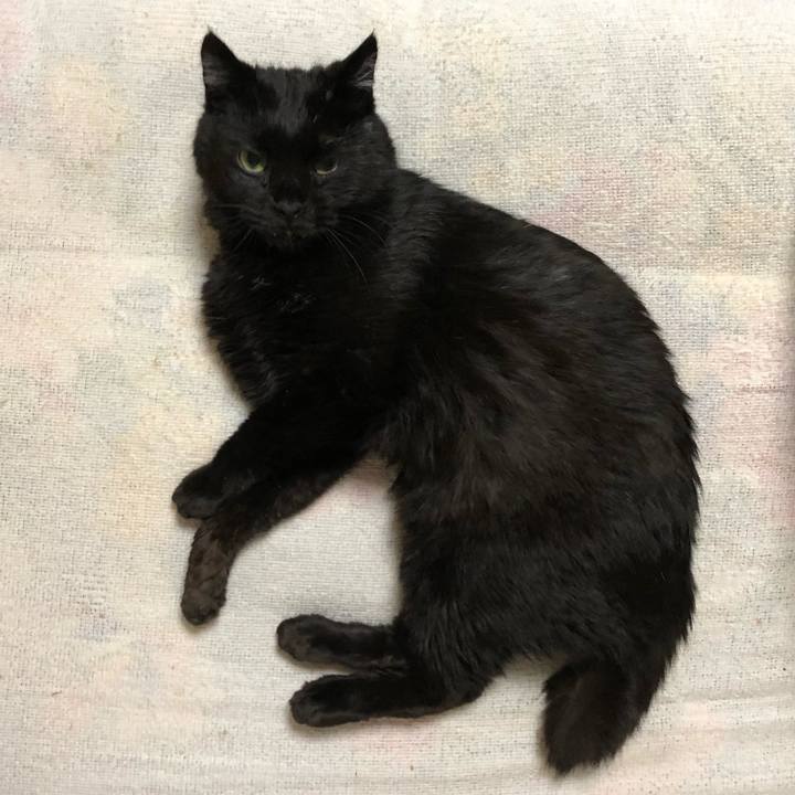 Bb61455f 24f1 4d78 ac81 8b48f8866a94 1610269908965