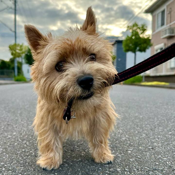 Bb6150ab 73d5 45be b92c ae81d60ea995 1759695816627