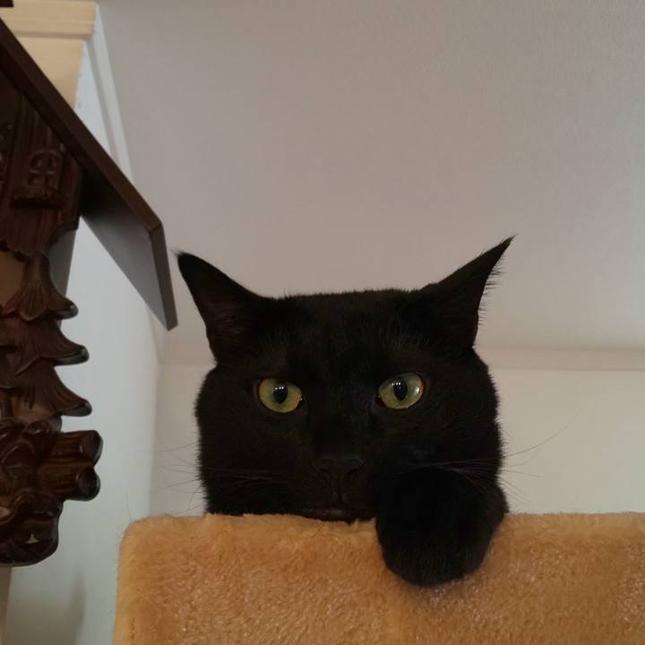 Bb61e220 3693 43be 9371 572e8d5d4800 1601686396783