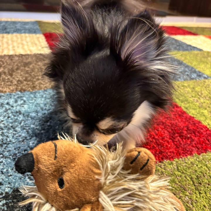 Bb61ea08 3217 4d23 8f15 fe6495421aac 1748701973525