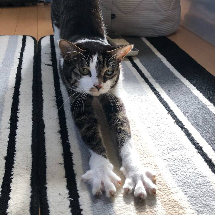 Bb61fb5b 628c 48eb b873 355181b1b286 1606978619165