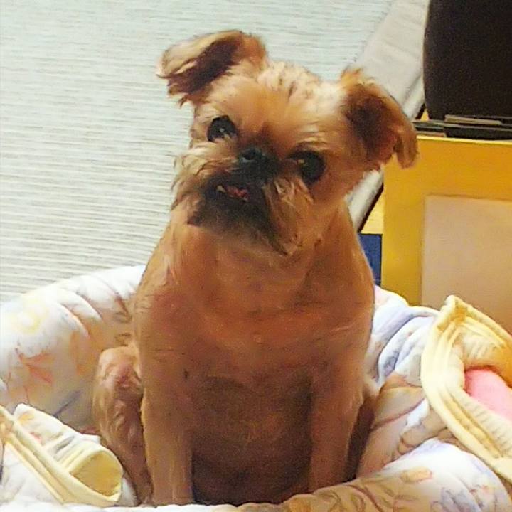 Bb628661 86ec 4516 9fab cc6cc6693896 1594801984970