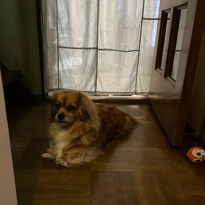 Bb62a4cc 11a0 4722 bbe5 d093a8d261d6 1583186429219