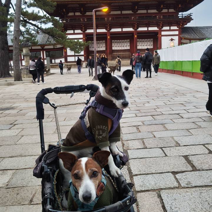 Bb62af14 b8b7 4745 80ac 51b855bd8812 1765726208844