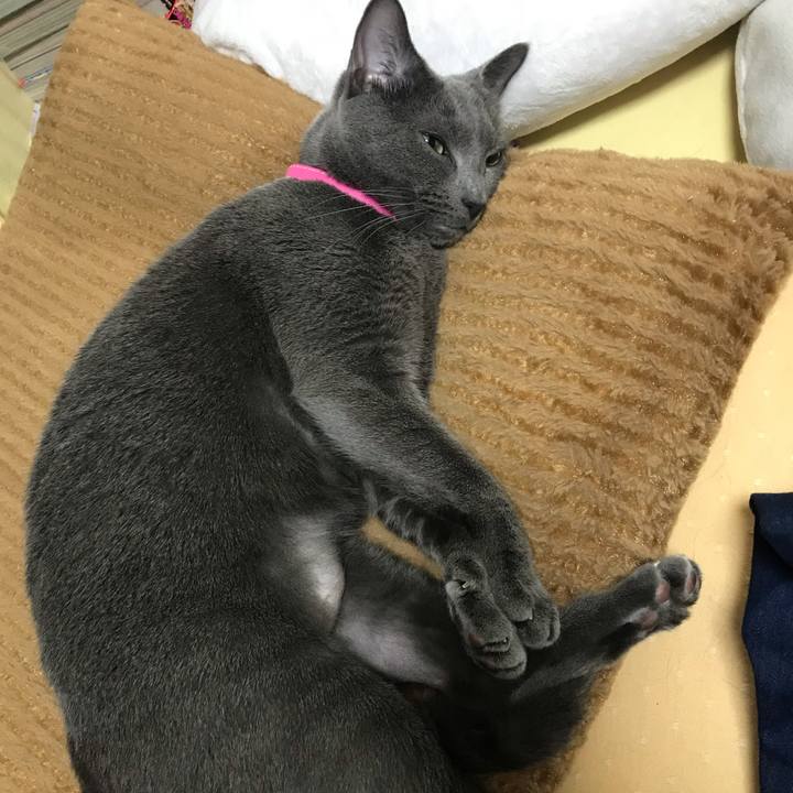 Bb62cf3f efaf 4f6b 8f48 cb0d156481a9 1538642511256