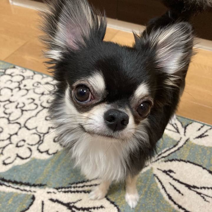 Bb632d00 c009 4af8 9aac 1aa228ee2d76 1623589608093