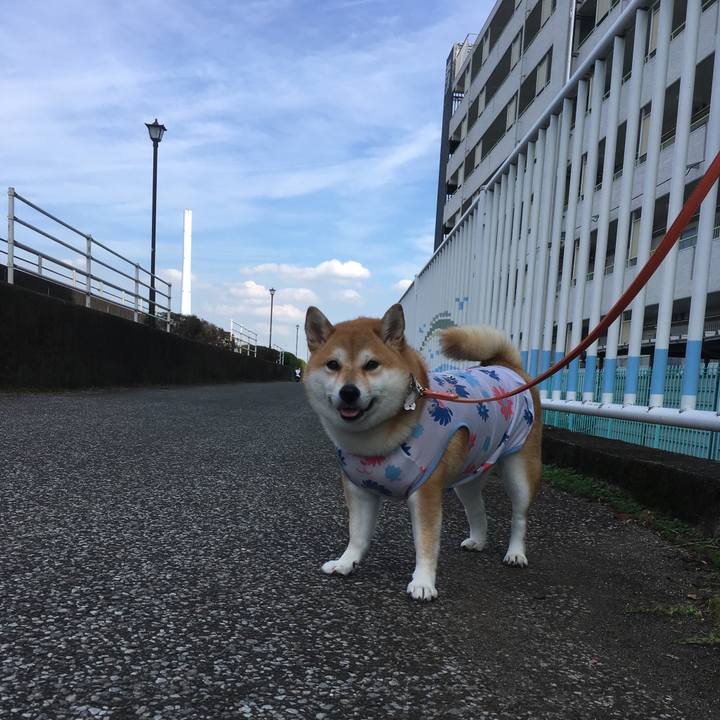 Bb633773 12d7 41d1 9dec 18fc29d1d1a0 1539150625090