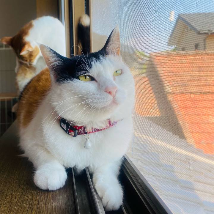 Bb633d07 9575 42cd 8d86 e584e2aedf20 1653630850086