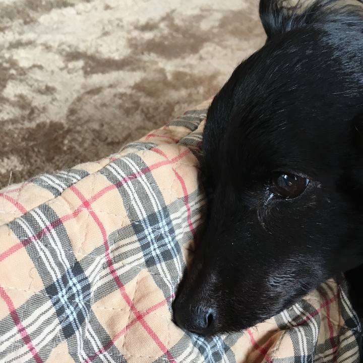 Bb6343a7 a7e4 4863 81f4 33159ce3126a 1522897055568