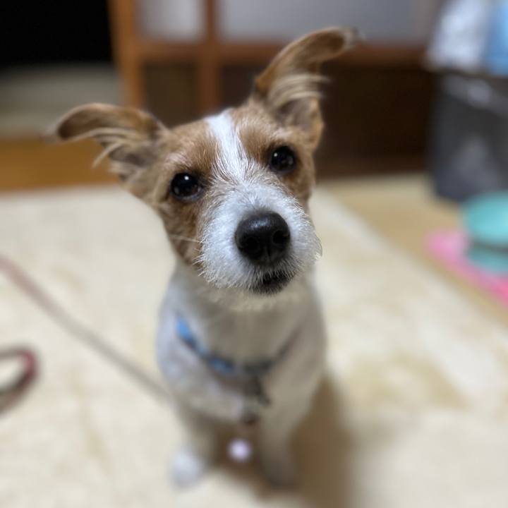 Bb636e98 67bb 45dd 9326 001fc1f0fe42 1761773920844