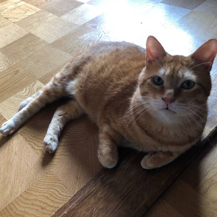 Bb63905e fdab 48a8 9f2a c66419c1efee 1596265466062