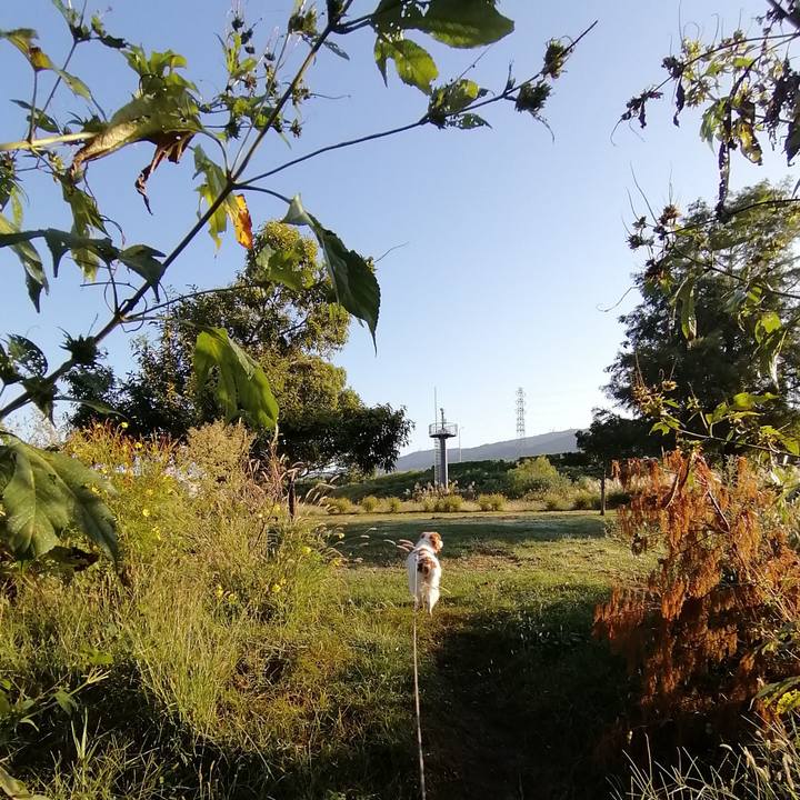 Bb63b062 2b2e 4771 b0f0 84360709adb7 1571200446905