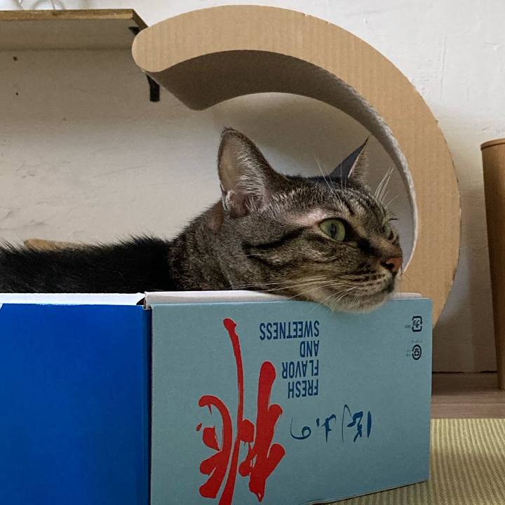 Bb63c4cf 0b21 4662 8650 be7d46345341 1662256484360