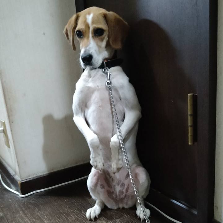 Bb642983 3ea9 4e72 bd7b 91accec9e4e5 1626611072437