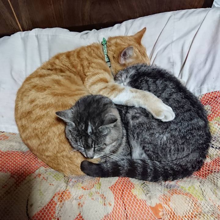 Bb6430de ac20 4eb6 9780 4f7702a55098 1585140656886