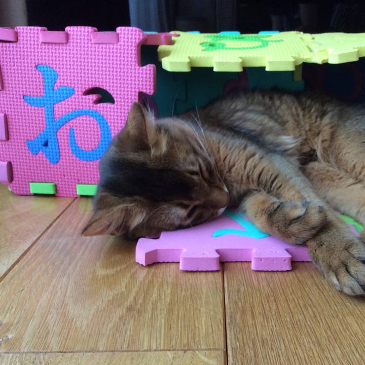 Bb64b4a3 9e3d 4551 9a42 58b9a08dff7e 1565167565124