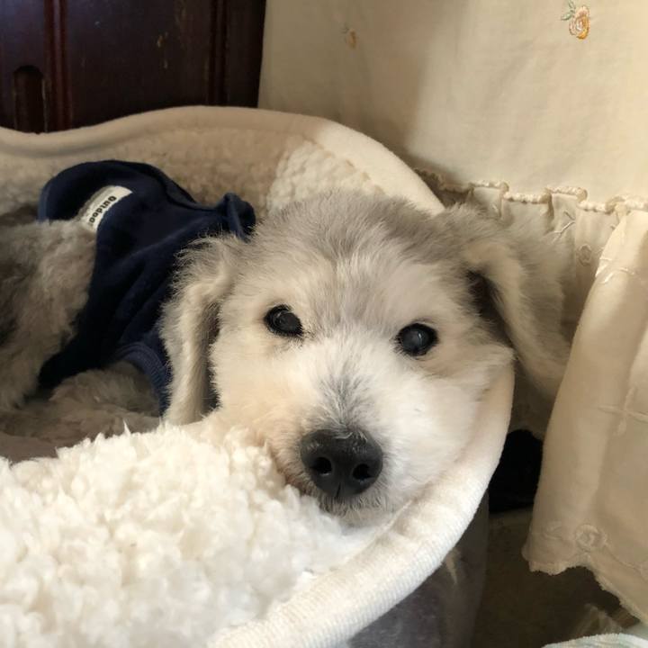 Bb64e22e 7444 40d8 988a 6dc2452ba23e 1668122065653