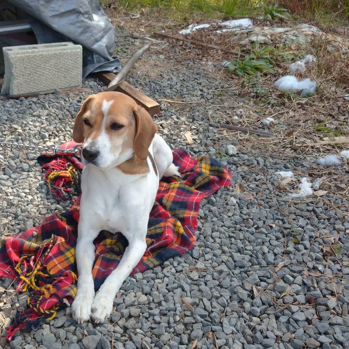 Bb64f7e7 af95 4fd0 8d6c d304c87e823c 1613718069300