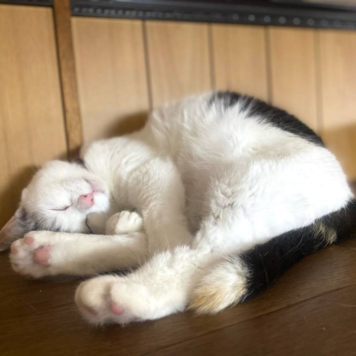 Bb651212 416b 4ab5 bd61 ea7fd34bac3b 1650975585389