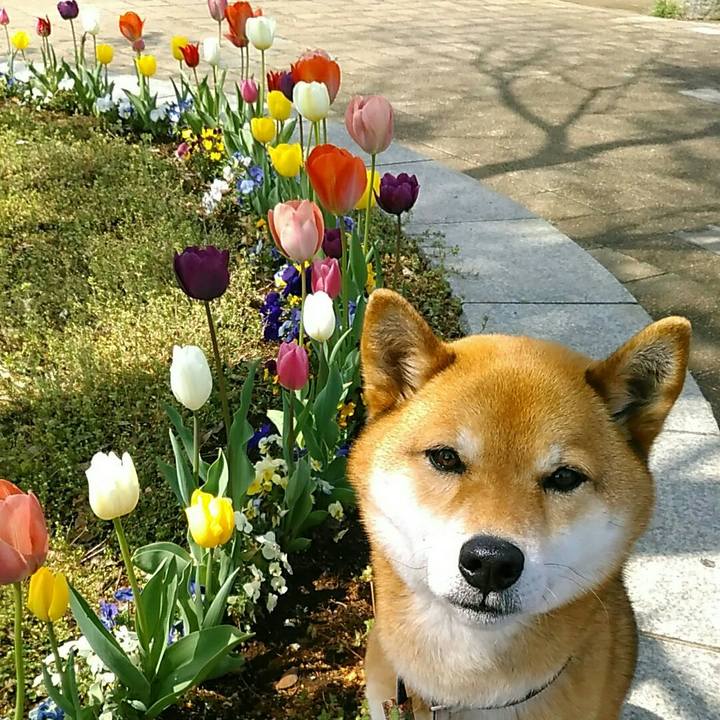 Bb651453 f88b 48b2 a325 a9c8dbada94c 1555295551948