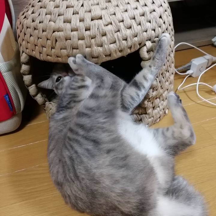 Bb651f4b a47d 4516 8723 303e4f3a6b1f 1525523220626