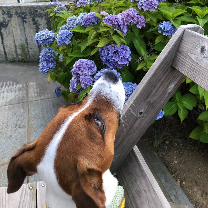 Bb652a5f b409 4b0f 88ad 3b5ef5e4c76a 1532338481202