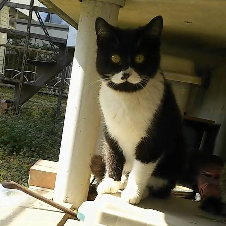 Bb652bef a367 4124 8641 f188ea9c95f1 1550639435522