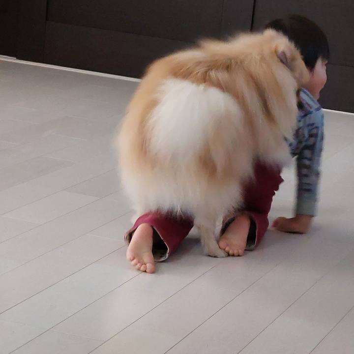 Bb654e02 7b70 401f ae54 4bee0ebc4d03 1642858913323