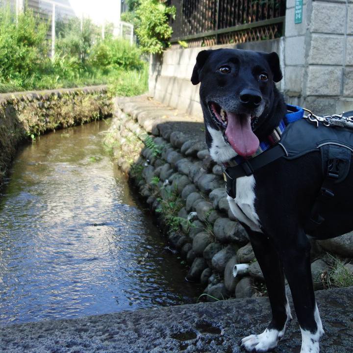 Bb655d7c 36f5 4941 a4e8 f01b0569b979 1655600964940