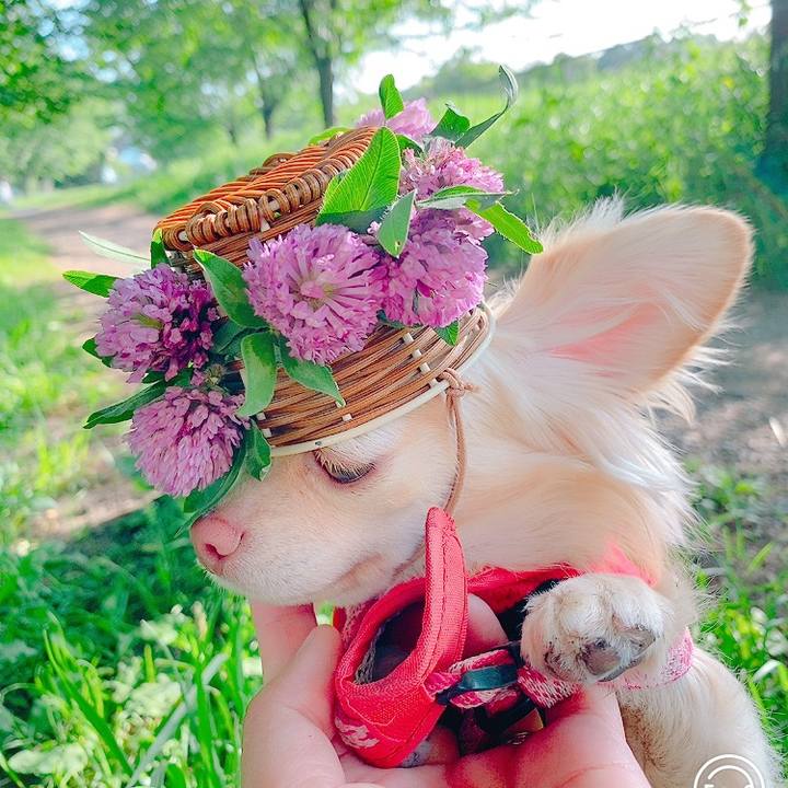 Bb65908c bc15 46ba aee3 11e056086f9f 1620636290175