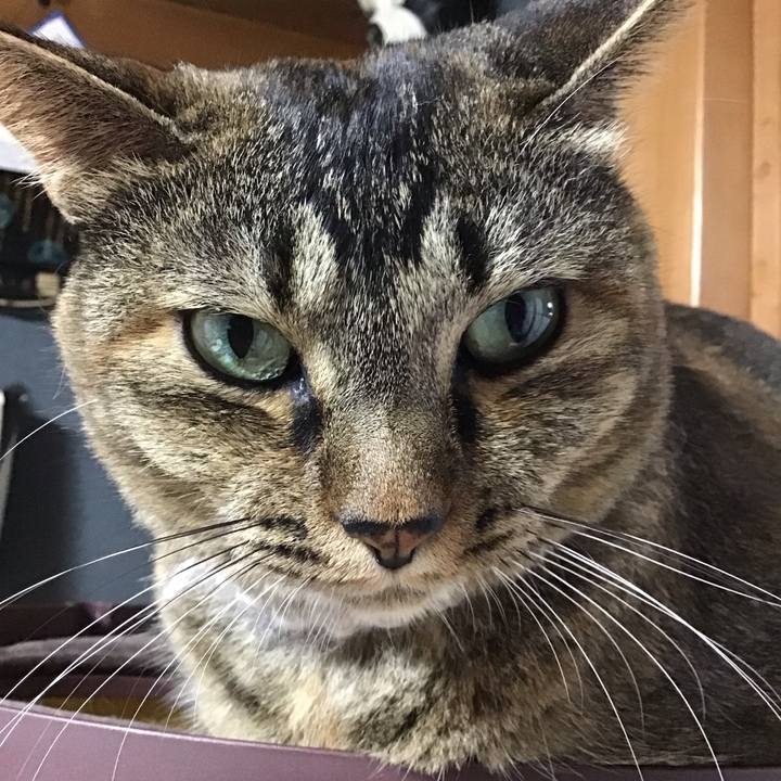 Bb65c122 d71d 4d60 8eba 985b4ccc9b52 1661250300228