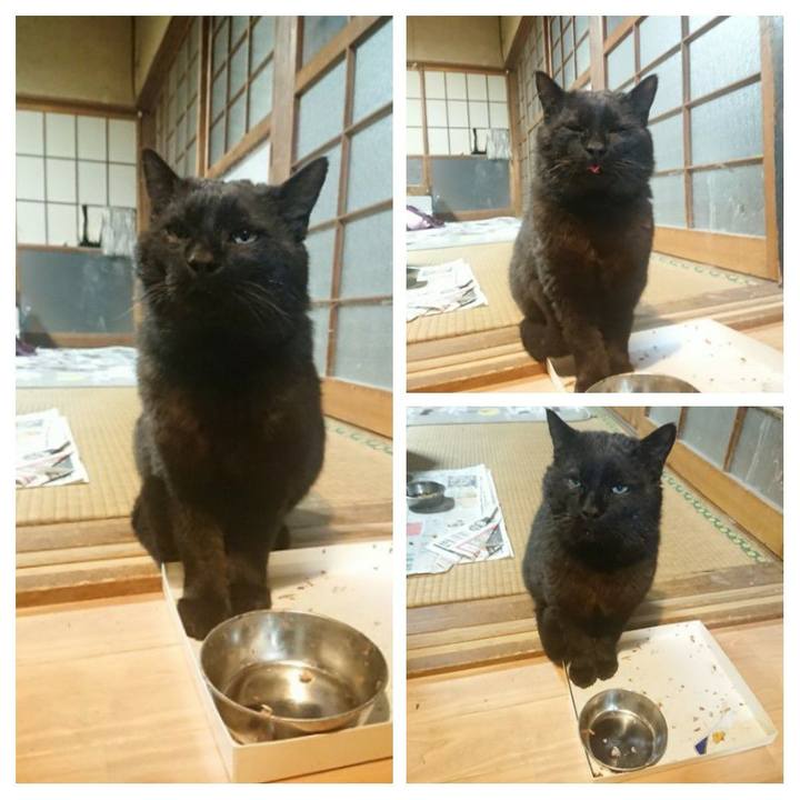 Bb65c46f dbf1 4e97 8785 a9bcba8afc4c 1619436299192