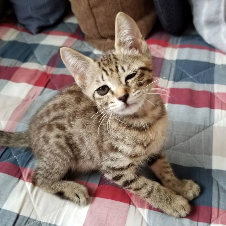 Bb65ddf2 4cb0 4705 94e1 1bfa1e6076ac 1535208586722