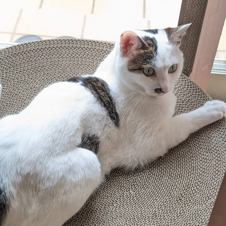 Bb65ede7 8f21 4629 840c ec240f00f143 1719719734257