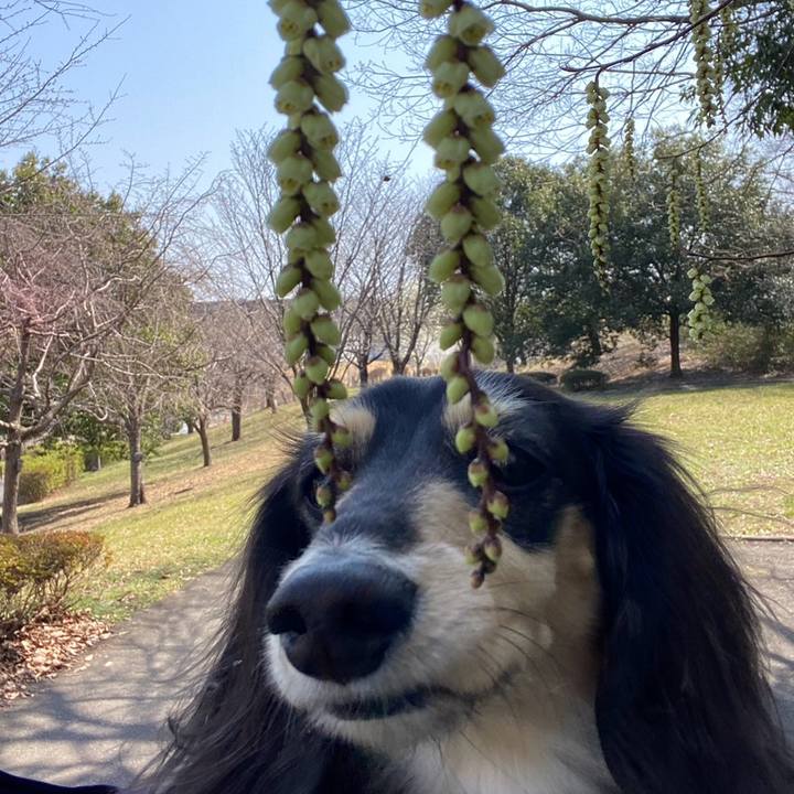 Bb66076b 7571 4ae5 b4f3 065500530bb0 1742778581140