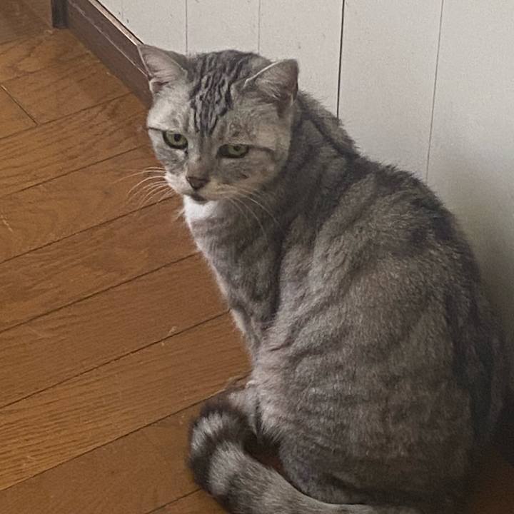 Bb661fd0 a54a 4c3e 8484 8775c63bc3e9 1771826954917