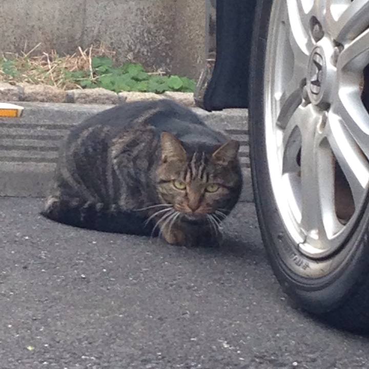 Bb662740 33af 405a af51 ddfc3363a144 1511166925000