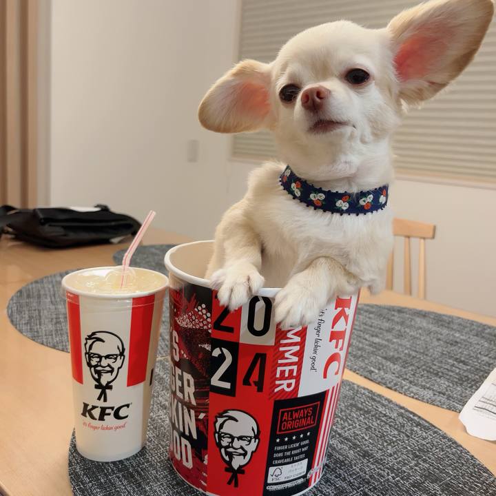 Bb663353 c6ae 4de0 a7ba 829364ce8c5a 1723293317335