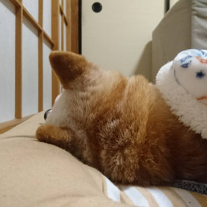 Bb6664a8 5505 4622 9e42 6f38636a53f4 1510805323470